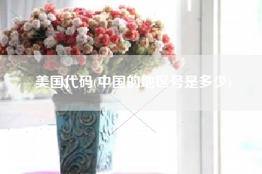 美国代码(中国的地区号是多少)