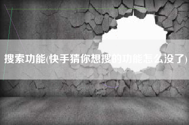 搜索功能(快手猜你想搜的功能怎么没了)
