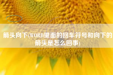箭头向下(WORD里面的回车符号和向下的箭头是怎么回事)