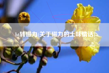 bt转磁力(关于磁力的土味情话)