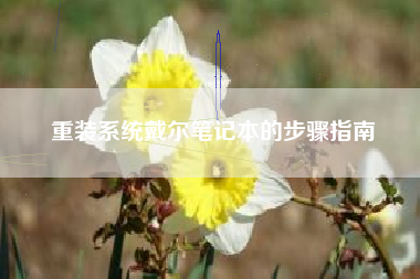 重装系统戴尔笔记本的步骤指南