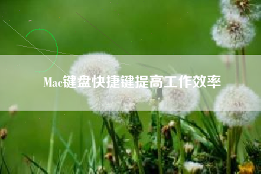Mac键盘快捷键提高工作效率
