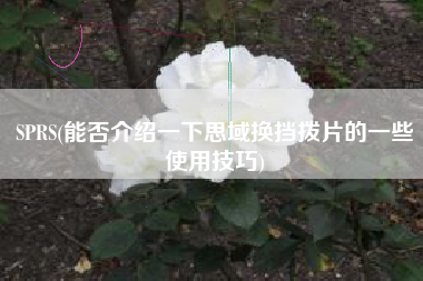 SPRS(能否介绍一下思域换挡拨片的一些使用技巧)