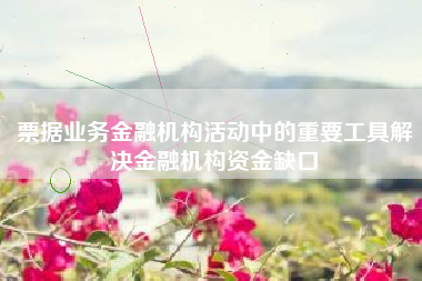 票据业务金融机构活动中的重要工具解决金融机构资金缺口