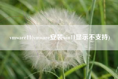 vmware11(vmware安装win11显示不支持)