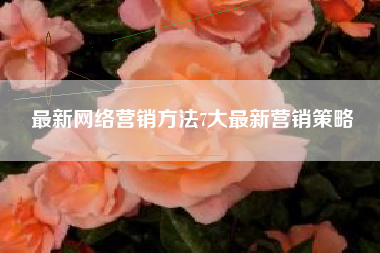 最新网络营销方法7大最新营销策略