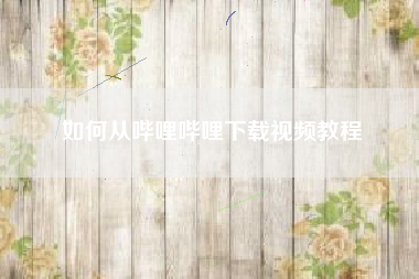 如何从哔哩哔哩下载视频教程