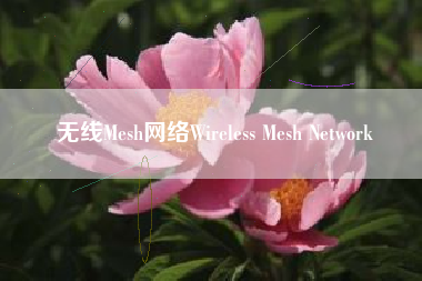 无线Mesh网络Wireless Mesh Network