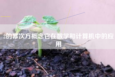 2的幂次方概念它在数学和计算机中的应用