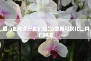 直方图和条形图的区别(数据可视化工具有哪些)