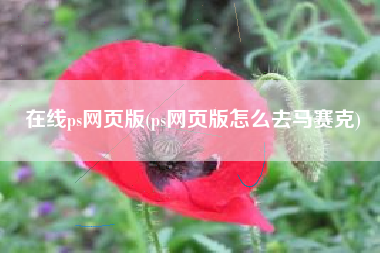 在线ps网页版(ps网页版怎么去马赛克)