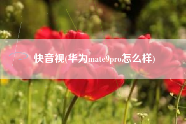 快音视(华为mate9pro怎么样)
