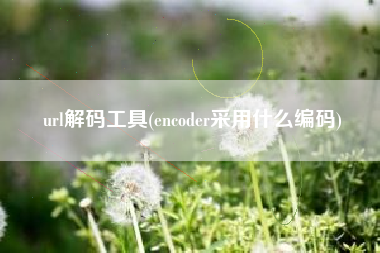 url解码工具(encoder采用什么编码)