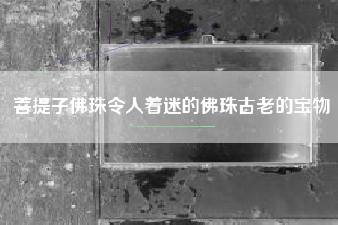 菩提子佛珠令人着迷的佛珠古老的宝物
