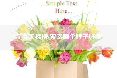 显卡天梯榜(索泰哪个牌子好呢)