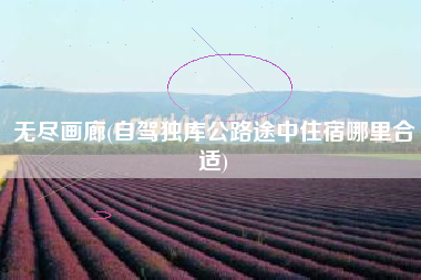 无尽画廊(自驾独库公路途中住宿哪里合适)