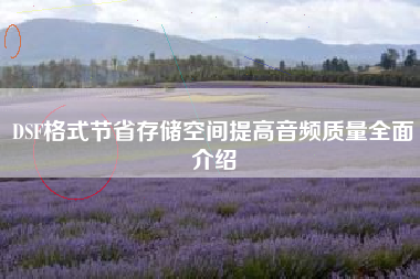 DSF格式节省存储空间提高音频质量全面介绍