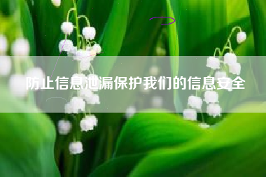 防止信息泄漏保护我们的信息安全