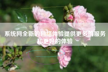系统网全新的网络体验提供更多的服务和更好的体验
