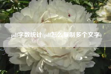 pdf字数统计(pdf怎么复制多个文字)