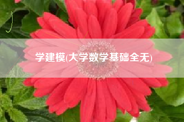 学建模(大学数学基础全无)