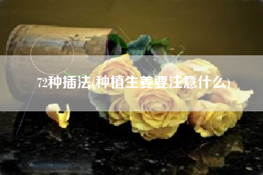 72种插法(种植生姜要注意什么)