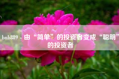 bnb889 - 由“简单”的投资者变成“聪明”的投资者
