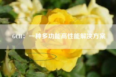 GCH:一种多功能高性能解决方案