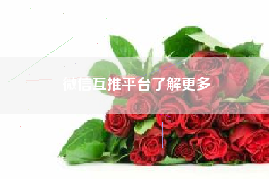 微信互推平台了解更多