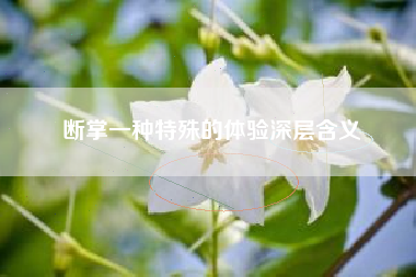 断掌一种特殊的体验深层含义