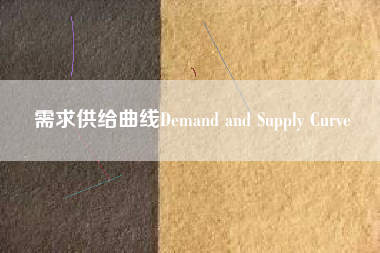 需求供给曲线Demand and Supply Curve