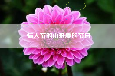 情人节的由来爱的节日