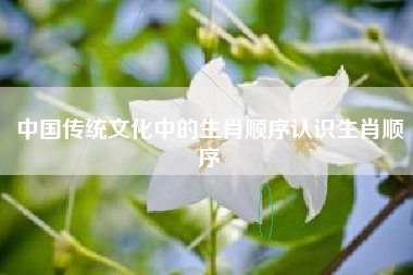 中国传统文化中的生肖顺序认识生肖顺序