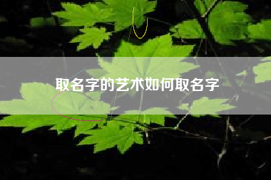 取名字的艺术如何取名字