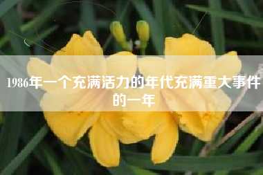 1986年一个充满活力的年代充满重大事件的一年