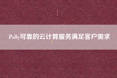 Polly可靠的云计算服务满足客户需求