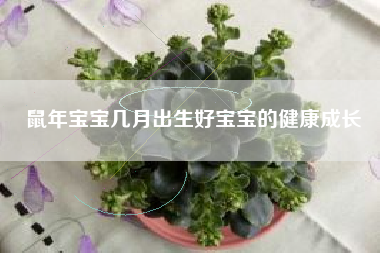 鼠年宝宝几月出生好宝宝的健康成长