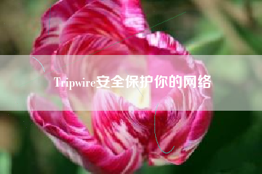 Tripwire安全保护你的网络