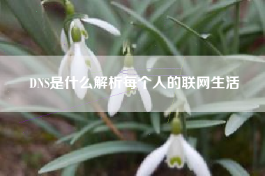 DNS是什么解析每个人的联网生活