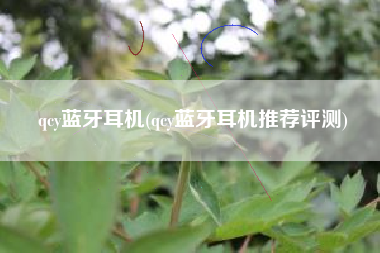 qcy蓝牙耳机(qcy蓝牙耳机推荐评测)