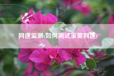 网速监测(如何测试家里网速)