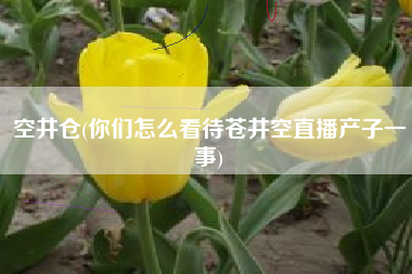 空井仓(你们怎么看待苍井空直播产子一事)