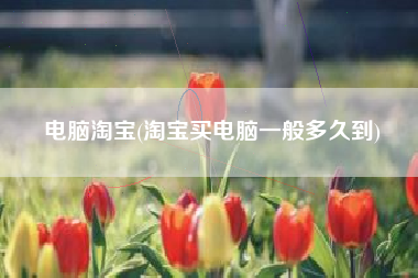 电脑淘宝(淘宝买电脑一般多久到)