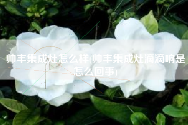帅丰集成灶怎么样(帅丰集成灶滴滴响是怎么回事)
