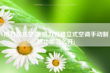 格力立式空调(格力悦雅立式空调手动制热功能怎么开)