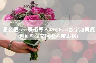 怎么把excel表格导入word(Excel数字如何复制到Word文档里不带表格)