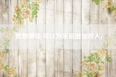 我想赚钱(可以为家庭增加收入)
