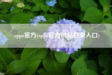oppo官方(oppo官方网站登录入口)