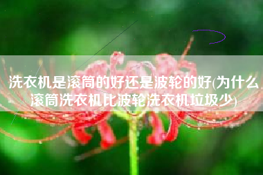 洗衣机是滚筒的好还是波轮的好(为什么滚筒洗衣机比波轮洗衣机垃圾少)