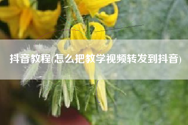 抖音教程(怎么把教学视频转发到抖音)